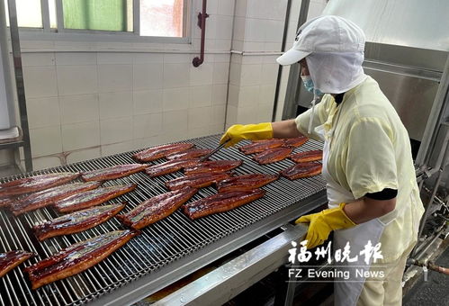 長樂全力打造“海上糧倉” 研發水產品預制菜，提升福州海蚌產業影響力